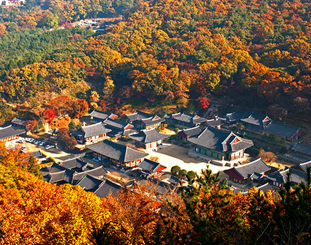 송광사 이미지